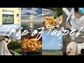 台北之旅Trip of Taipei🦋|三天兩夜|宮原眼科🍨|審計新村🌷|高美濕地🦀 (Part1.)《#vlog5 》