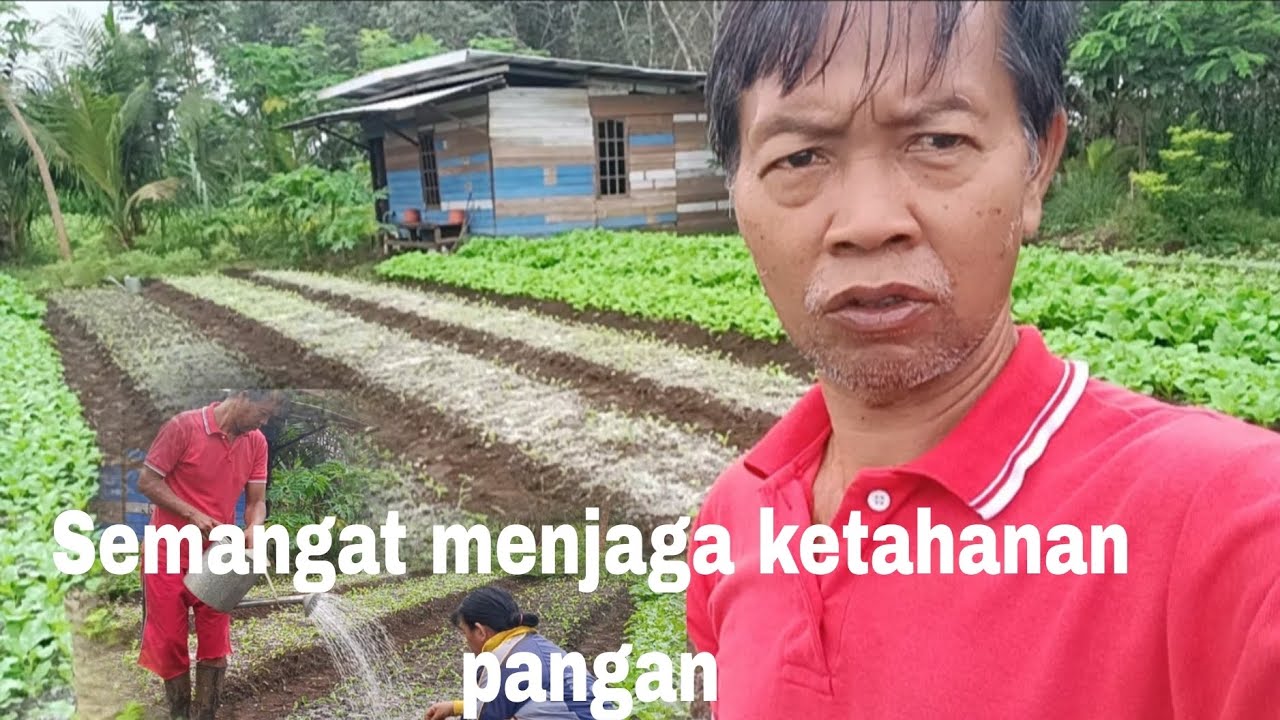 Semangat bekerja sahabat tani Kutai Barat