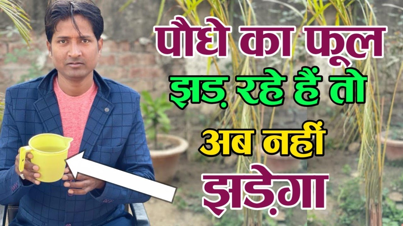 अपने पौधे पर इस्तेमाल करें फूल झड़ना रुक जाएगा, The flower will stop