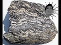 Metamorphic Rock Categorization - Earth Science