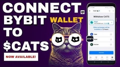 How To Connect Your Bybit Exchange Wallet To Withdraw CATS Airdrop