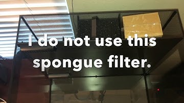 Fluval Flex Set up and Modifications