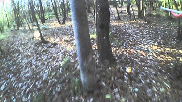 Syma x5c crashes in a tree