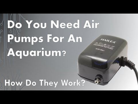 Hvordan virker luftpumper, og har du brug for det til et akvarium?