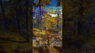 Following Fall #snapdraggin #CastlewoodStatePark