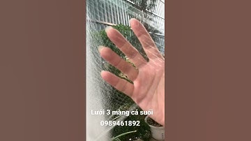 Lưới 3 màng đánh cá suối cực nhỏ 1,5cm