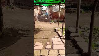 video camera YouTube collectors india india pakistan jila category 2