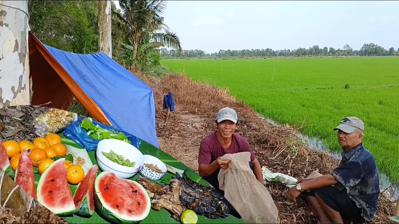 Tập30_ Trải nghiệm cắm câu giao Lưư cùng bác trai ll bác lớn tuổi rồi mà dẫn còn đỉnh