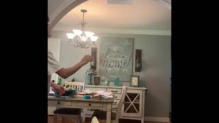 Physics Lab 9 Pendulum Setup Video