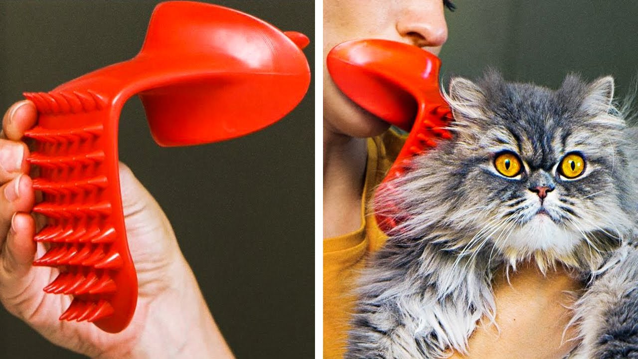 31 COOL GADGETS YOU NEED IN YOUR LIFE