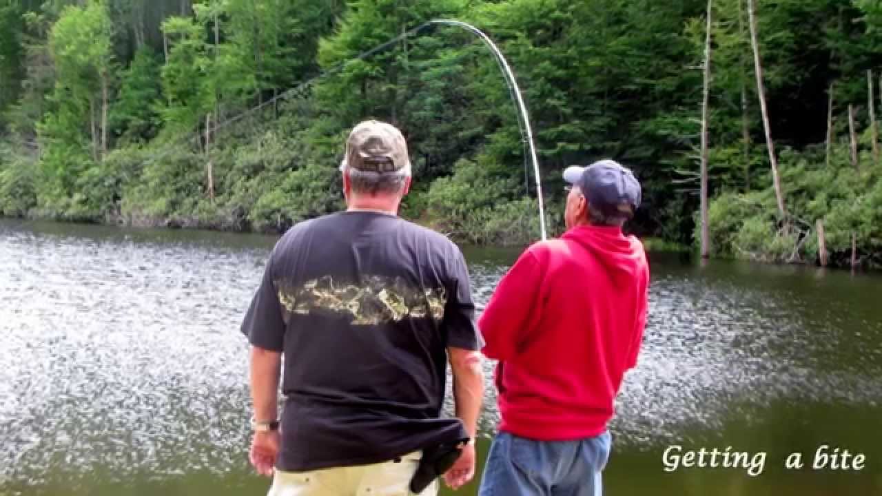 The Headwaters Of Banner Elk Fishing With Dick Gross By Dr
