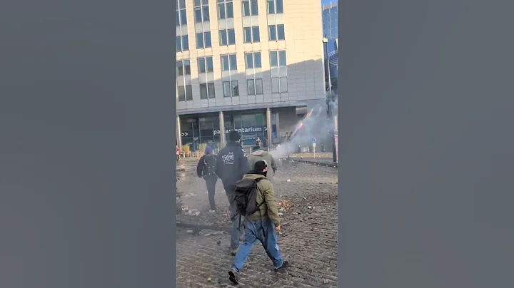 Farmers Launch Potatoes at Police During Fiery Protests in Brussels #shorts