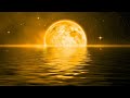 Sleep Music 24/7, Sleep Meditation, Relaxing Music, Calm Music, Study Music, Zen, Sleep, Insomnia