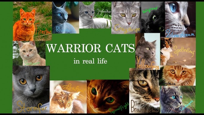 How to Design Your Own Warrior Cats Camps and Kittens! 