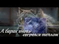 Garik Garik А барак вновь согрелся теплом