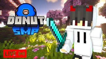 MAKING $10M in Donut SMP