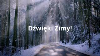 Dźwięki Zimy