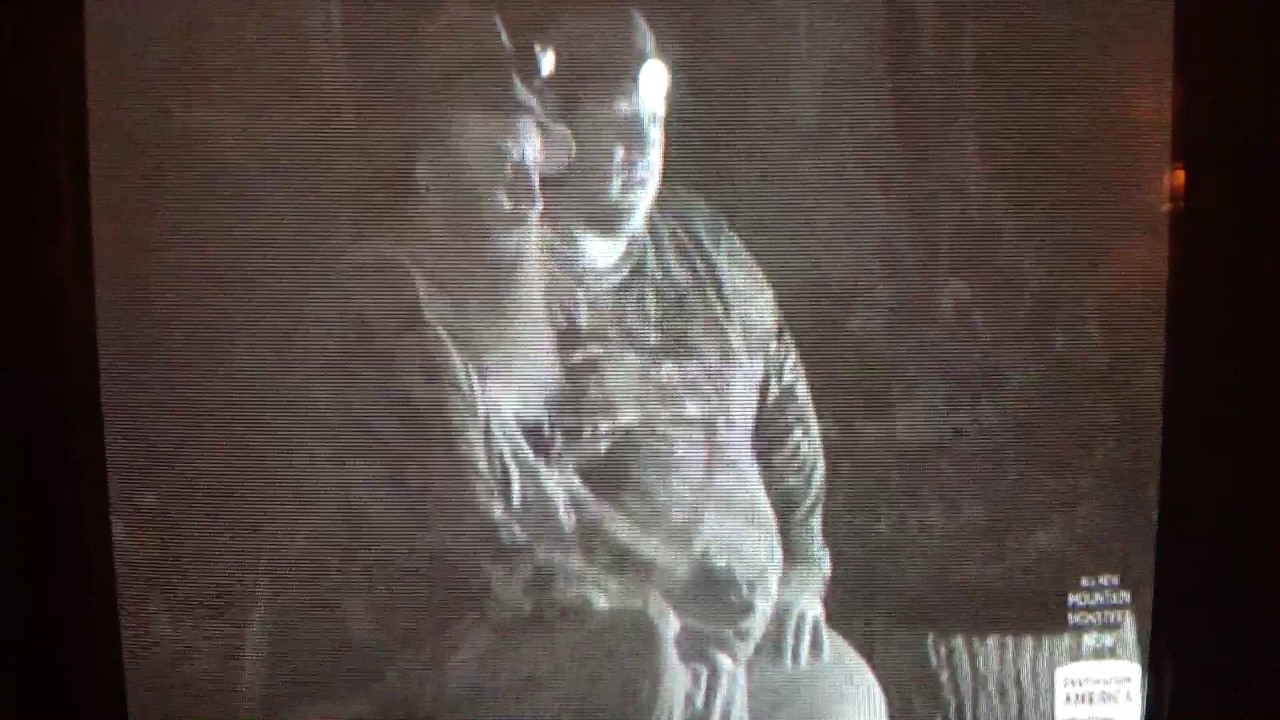 Legend of the Black Wolf. - YouTube