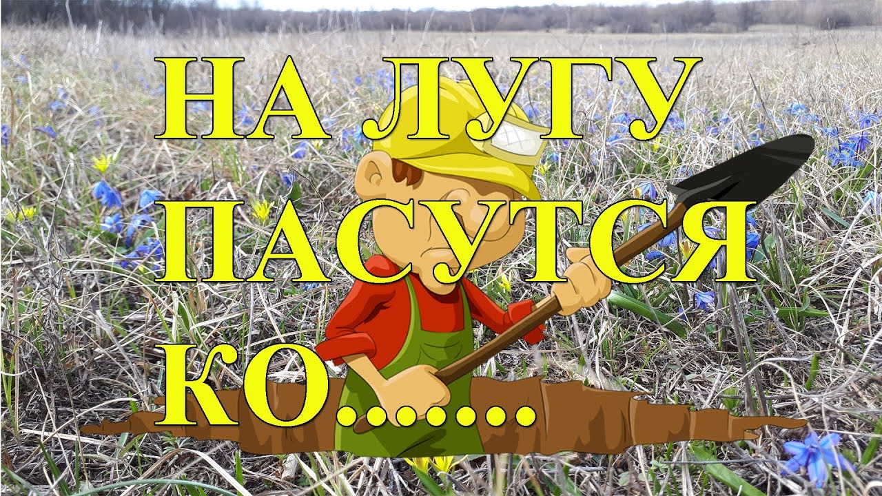На лугу пасутся ко.... Правильно, копатели!! - YouTube
