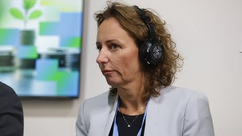 Financing Climate Policies: Insights from Deliana Ivanova at COP29 | Green Transition Forum