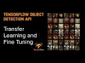 Transfer Learning and Fine tuning with Tensorflow Object Detection API - Part III