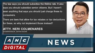 Neri Colmenares questions legal basis of ‘public policy charges’ in electricity bills | ANC