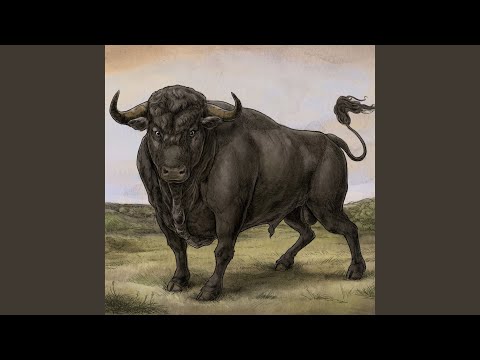 Methuselah - San Fermin