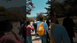 #youtubeshorts #japanesecity #🇯🇵🇳🇵