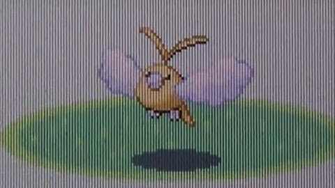 [BQ #4] Live Shiny Swablu After 16,066 REs! (Pokemon Ruby)