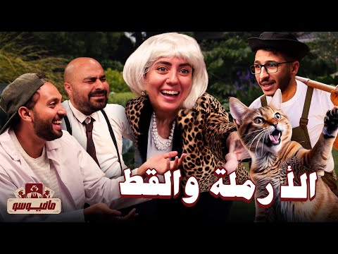 مات بحسرته بعد ما اتخطفت قطته