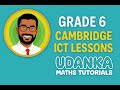 Grade 6 Cambridge ICT | Introduction to Databases + Activity Question | Easy for Beginners 📋💻