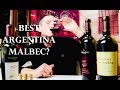 $20 Malbec Vs. $100 Malbec | Which Argentina Wine Should You Buy? | TWJ_Ep#23