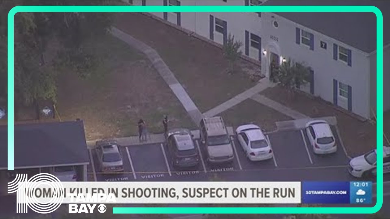 Woman shot and killed at St. Pete apartment complex - YouTube