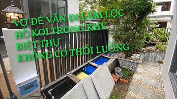 VỢ ĐẺ VẪN ĐI LÀM LỌC || HỒ KOI 1,5 KHỐI LỌC CHUẨN - KHÔNG LUỒNG || CÁ KOI VLOG TRẦN ĐỨC CƯỜNG