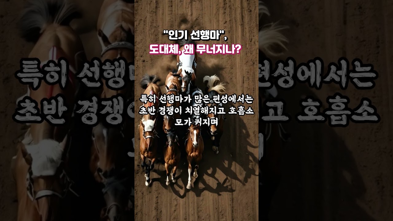 경마베팅, 인기 선행마! 도대체 왜 무너집니까?