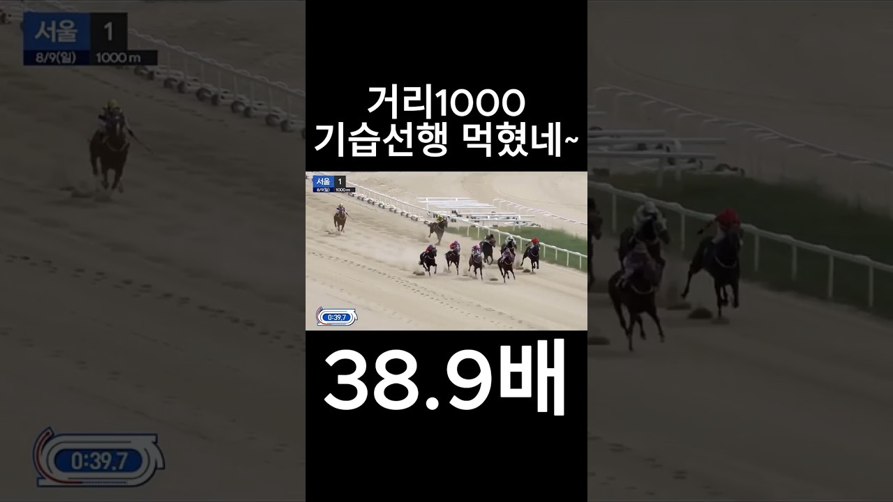 기습선행이 먹혔네~  #경마  #경마예상  #경마방송  #경마예상방송  #서울경마  #금요경마  #토요경마  #일요경마 #경마장