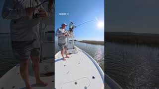 Sight fishing for redfish from the tower!  They were really spooky. #tailsfromthetower #fishing