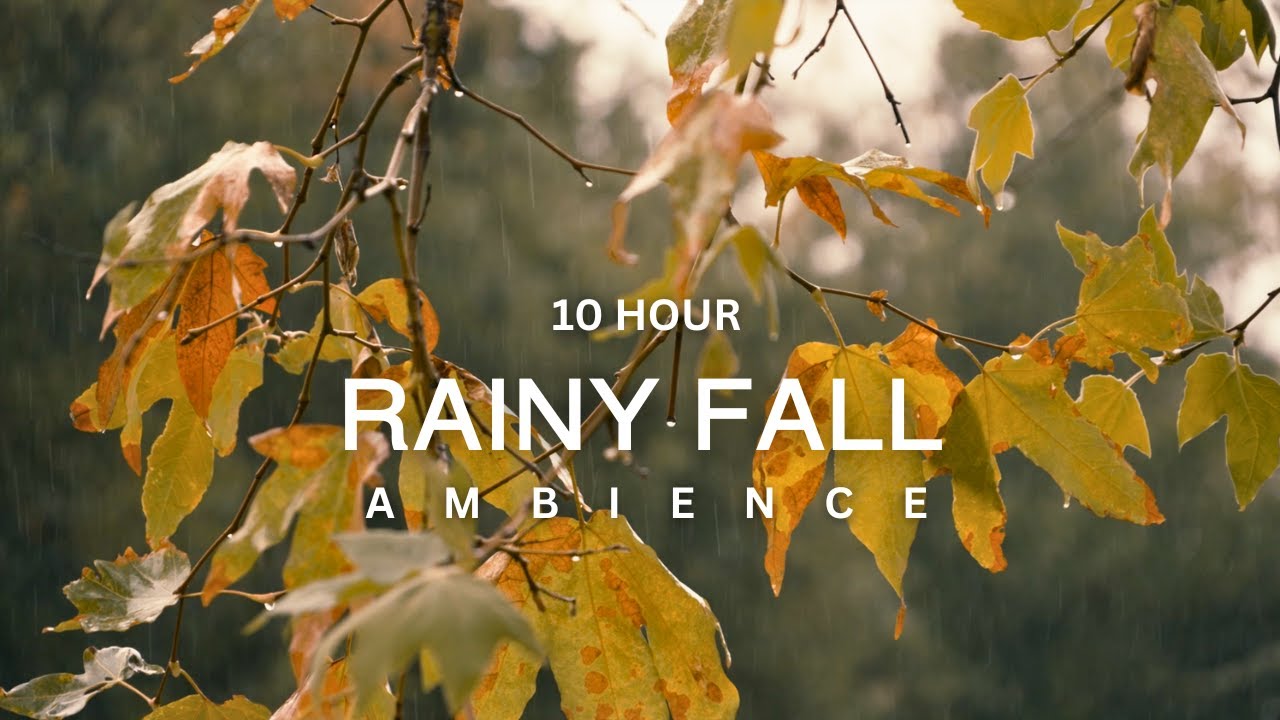 10 Hour |  🍁✨Cozy Autumn Rain Ambience for Deep Sleep & Calm Focus✨🍁