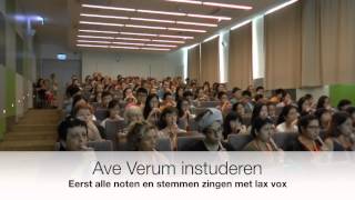 Stemoefening  Lax Vox Koor, Ensembles en Samenzangers  | Universal Voice Institute