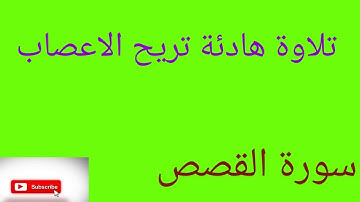 سورة القصص للشيخ حاتم فريد الواعر