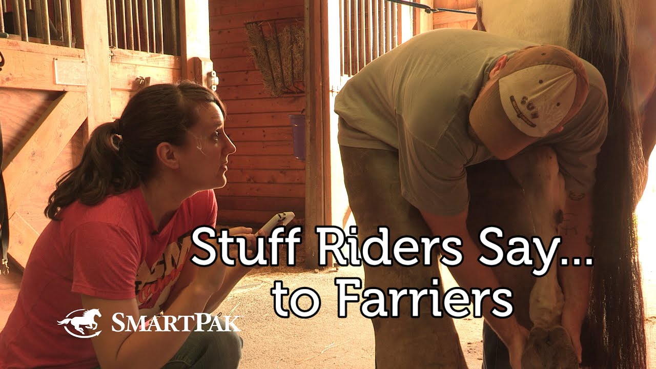 Stuff Riders Say...to Farriers YouTube