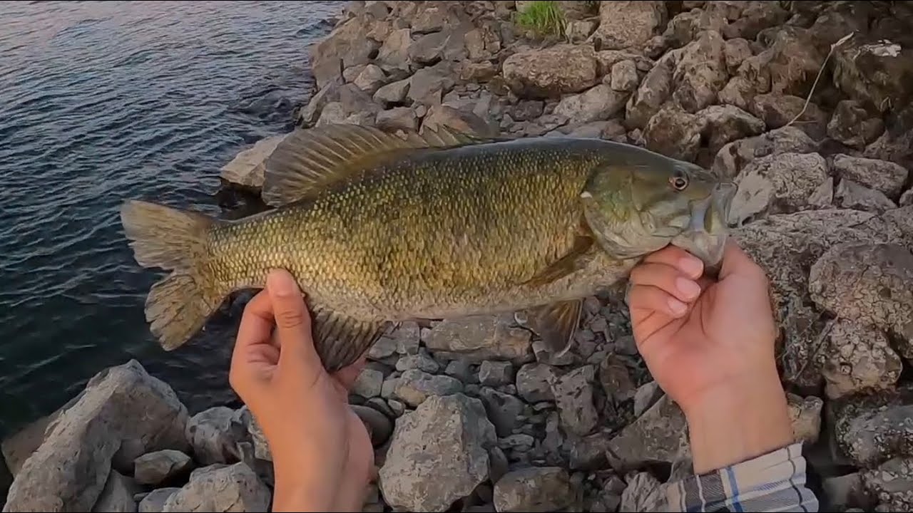 Columbia River smallmouth bass fishing (big surprise)