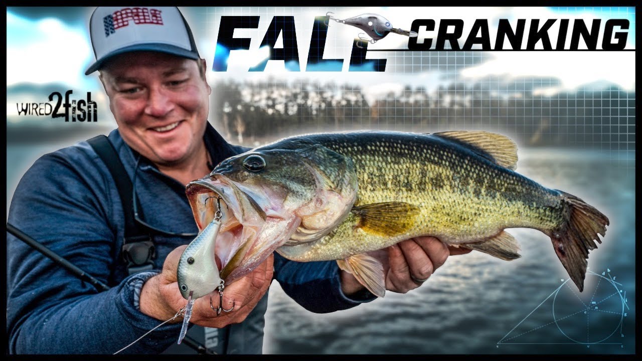 Find and Catch More Fall Bass with Deep Diving Crankbaits 