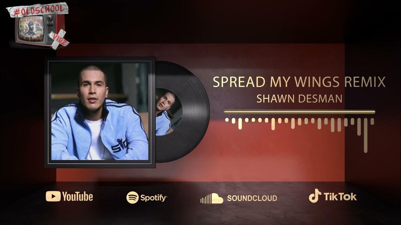 SHAWN DESMAN SPREAD MY WINGS REMIX YouTube