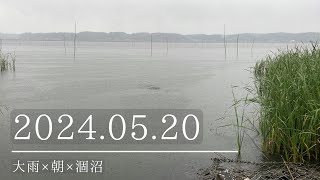 2024.05.20大雨×朝×涸沼