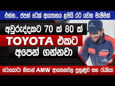 Automobile Degree In Sri Lanka Requirements