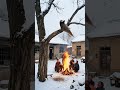 Rural life, original, funny, rare, boo absurd video
