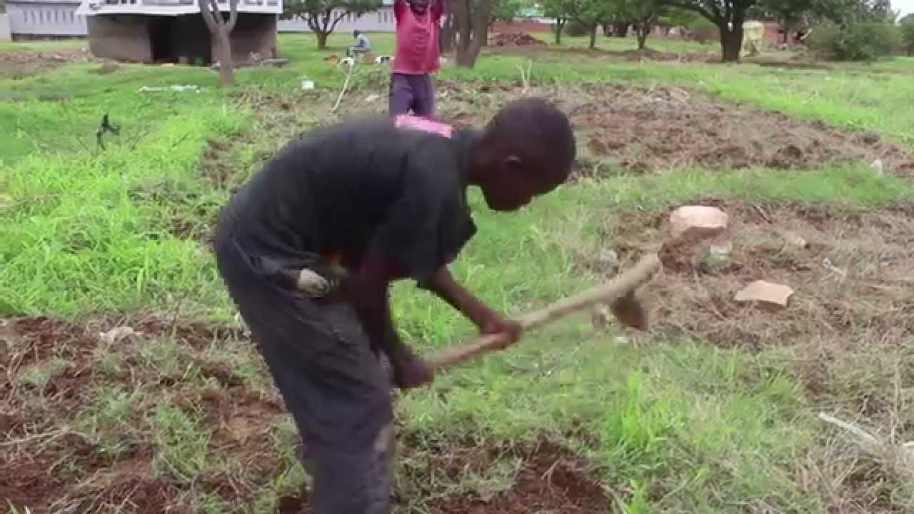 Zambia Zkids Farming YouTube