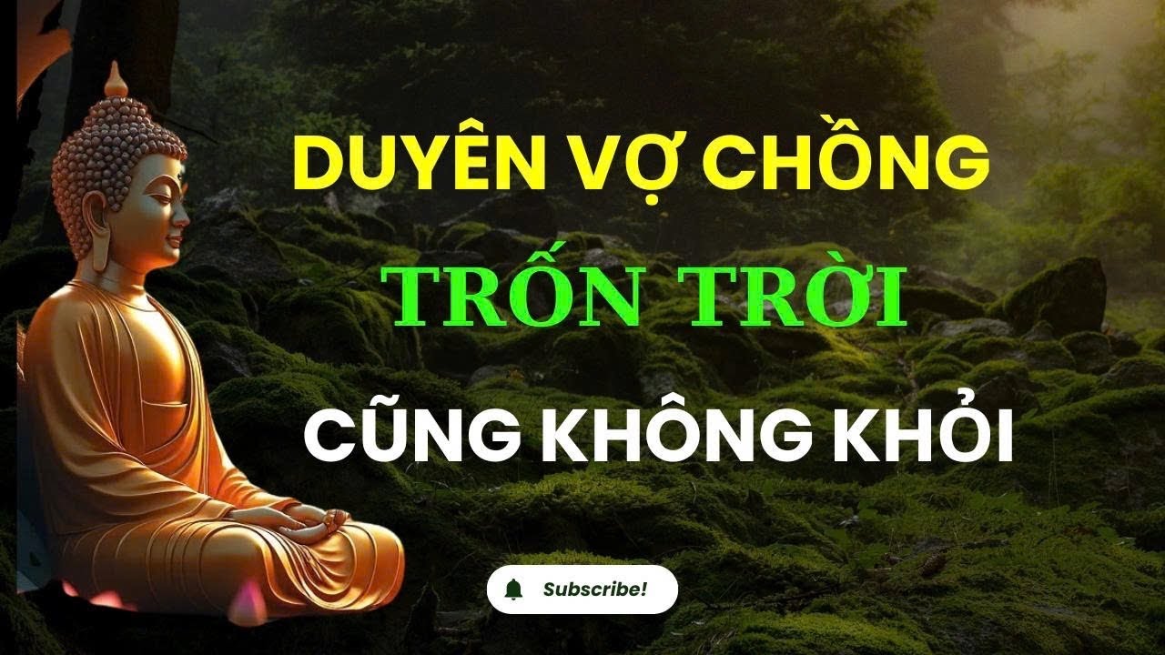 Trốn Trời Cũng Không Khỏi: Duyên Vợ Chồng Đã Được An Bài – Khi Tình Yêu Không Chỉ Thuộc Về Hiện Tại