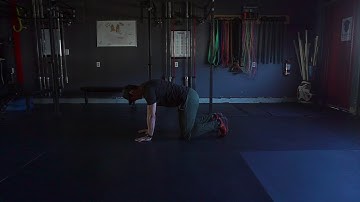 Quadruped Shoulder flexion